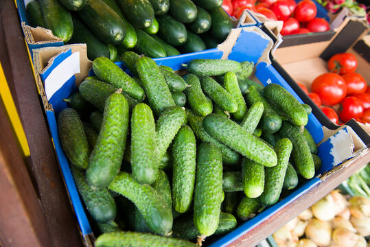 Fresh cucumber in box sale green grocery food store