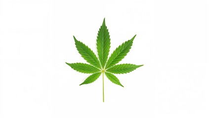 Vibrant Seven-Pointed Cannabis Leaf in Bright Green