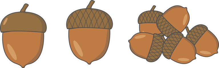 Set of acorns vector