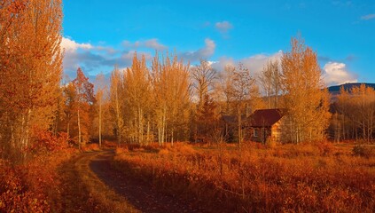 Scenic fall view with colorful foliage, a cottage, and larches bathed in gentle sunlight