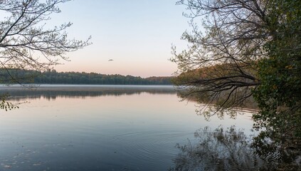 Serene lake mirroring the sky and trees at peaceful sunrise.