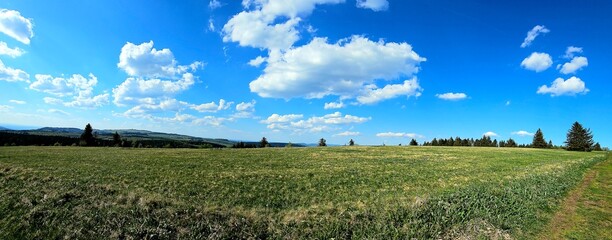 panorama of beautiful countryside of Rhoen, Hesse, Germany. sunny afternoon. wonderful springtime landscape in mountains. grassy field and rolling hills. rural scenery.