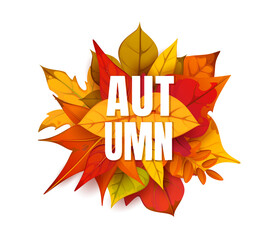 Autumn banner with fall season leaves. Cartoon vector bunch of fallen autumnal maple, oak or birch tree foliage of red, orange, yellow colors for back to school, seasonal sale or thanksgiving holidays