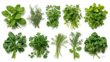 Naklejka premium Various fresh edible herbs and leafy greens isolated on a white background