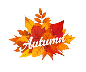 Autumn fall season leaves. Cartoon vector banner with rich arrangement of leaves in red, orange and yellow color, conveying seasonal warmth and celebration. Greeting card with rustic or forest vibe