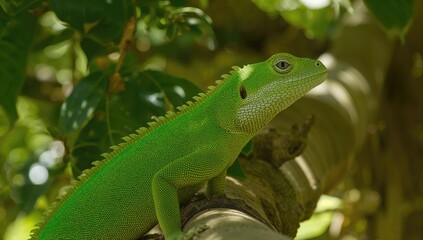 Detailed view of a reptile perched on bark