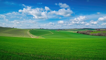 Obraz premium Vast Verdant Meadows, Gentle Slopes, Farming Trails, Springtime Scenery Beneath a Clear Sky