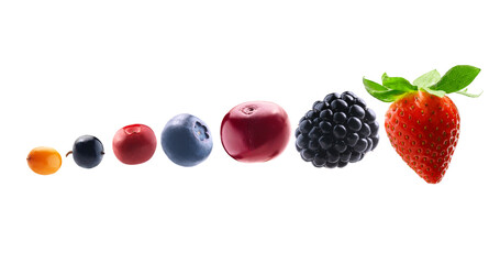 Many different berries in the form of a frame on a white background