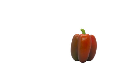 Red chili pepper on white background with copy space
