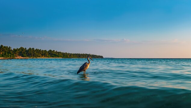 A heron silhouette is visible standing in the ocean at dawn on an island in the Atlantic.