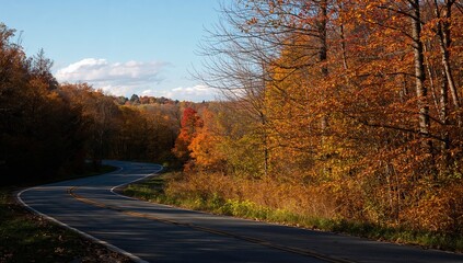 Fototapeta premium Fall Pathways through the Forest Preserve