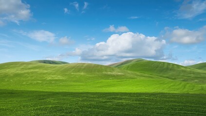 Lush grassy meadow with rolling hills under a cloudy blue sky