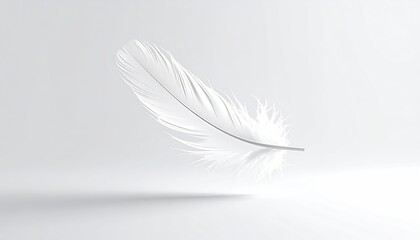 Obraz premium White feather floating gently on white background, abstract, minimalist design