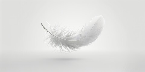 Obraz premium White feather floating on a clean background. Conceptual. For health, beauty