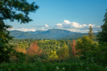 A hand-painted depiction of a common natural scenery