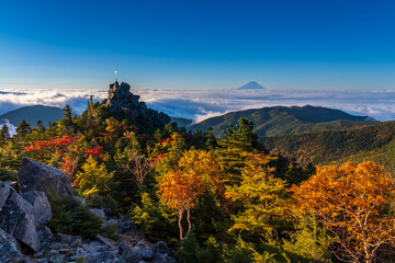 秋の奥秩父山塊天狗峰から紅葉の天狗岩の朝日に輝く天空の剣と朝焼けの富士山