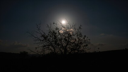 Bright full moon glowing in the nighttime sky