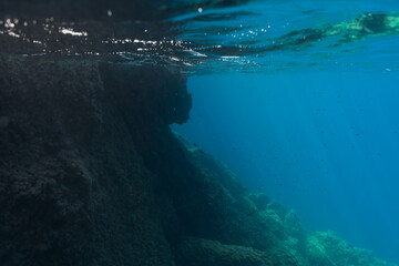 A serene underwater seascape of a rocky reef and a school of fish in the crystal clear blue Mediterranean Sea.