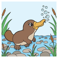 Cartoon bird standing on grass in a playful nature scene