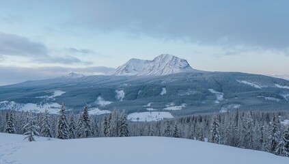 Fototapeta premium Stunning peaks surrounded by a frosty winter scene