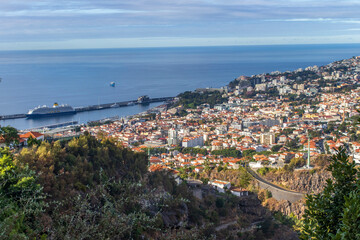 Fototapeta premium Overlooking Funchal, Madeira’s Botanical Garden dazzles with exotic flora, vibrant colors, and stunning ocean views—a serene haven celebrating the island’s rich biodiversity, 