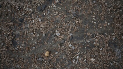 Abstract design backdrop featuring natural textures of foliage and rocks on the surface