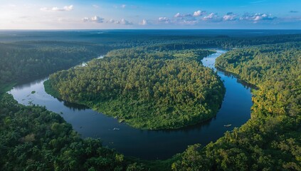 Aerial drone perspective of a vast lush forest featuring towering trees and a winding wide blue river running through it