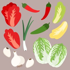 김치 김장 배추 야채 재료 드로잉 세트(kimchi material drawing set)