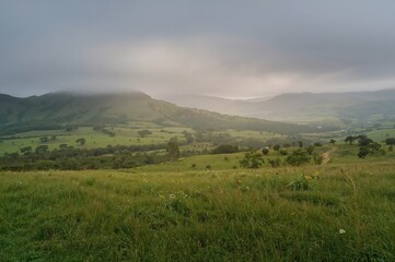 Fototapeta premium Stunning view of lush meadows on a misty mountain