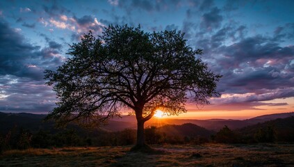 Directional Signpost