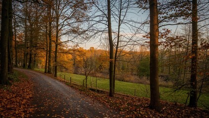 Obraz premium Fall season scenery in a European urban park