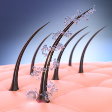 Nourish hair of shampoo or serum, Repair hair concept, 3D rendering