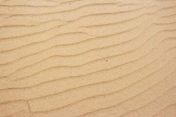 Golden sand ripples, wind-swept into elegant wavy patterns. A serene, natural texture for any design backdrop