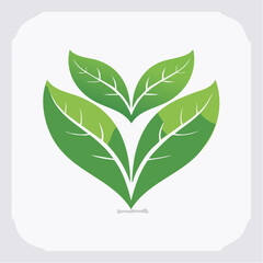 Illustration of stylized green leaves arranged in a symmetrical formation on a white background