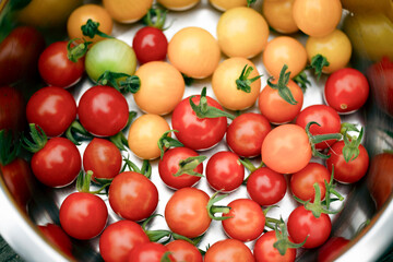 tomatoes