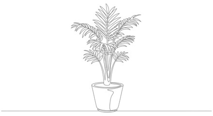 Obraz premium Minimalist Line Art Illustration of a Potted Palm Plant for Interior Design and Botanical Studies, Suitable for Digital Graphics or Coloring Pages