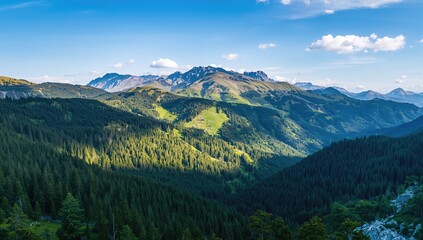 Obraz premium Aerial view showcasing lush evergreen woodland in the mountains