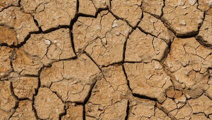 Detailed view of arid, fractured soil surface