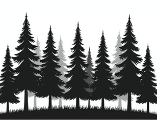 Obraz premium Black pine forest silhouette landscape