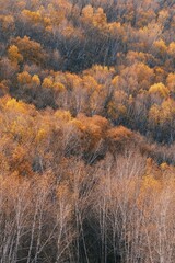 The amazing scenery of autumn on the vast grasslands of Inner Mongolia, China