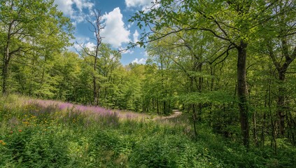 Fototapeta premium Scenic landscape of a coastal nature reserve featuring Rhododendron plants