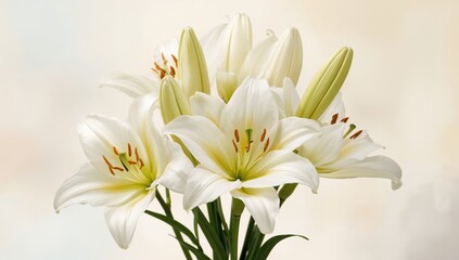 Fototapeta premium A colorful arrangement of stunning lilies for festive wishes