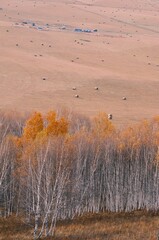 The amazing scenery of autumn on the vast grasslands of Inner Mongolia, China