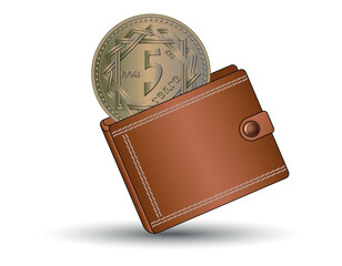 Reverse 5 tenge coin Kazakhstan. A 5 tenge coin Kazakhstan into the wallet.