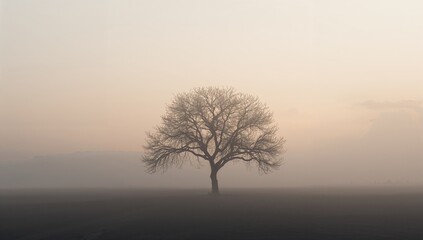 Obraz premium Minimalist abstract photo perfect for background design and texture, featuring isolated nature elements like sky and tree beauty