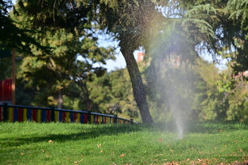 An automatic sprinkler sprays water evenly across a lush green lawn, maintaining a healthy backyard under the warm sunlight