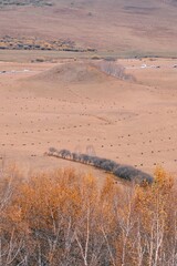 The amazing scenery of autumn on the vast grasslands of Inner Mongolia, China