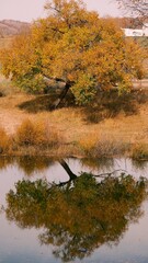 The amazing scenery of autumn on the vast grasslands of Inner Mongolia, China