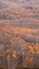The amazing scenery of autumn on the vast grasslands of Inner Mongolia, China