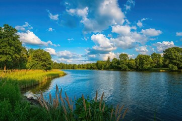 Obraz premium Clear blue heavens and fluffy white clouds above a peaceful lake during summertime, bordered by vibrant green plants, trees, and grassy banks.